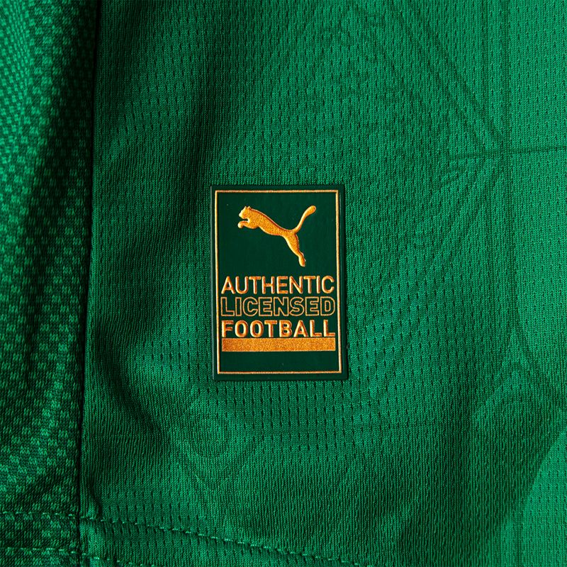 Camisa Palmeiras Puma I 25/26 Jogador
